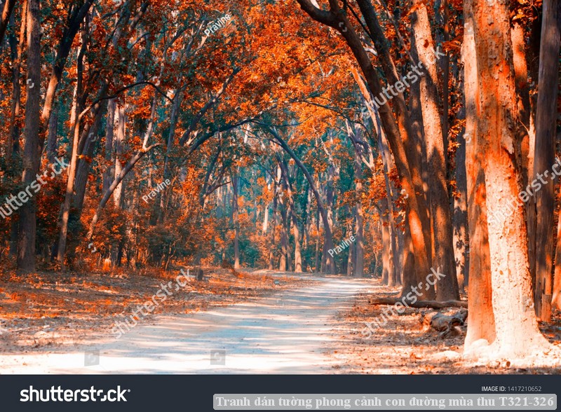 Tranh dán tường phong cảnh con đường mùa thu T321-326